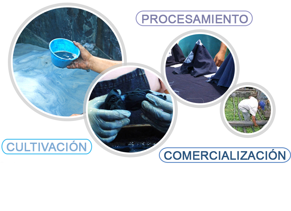 Servicios